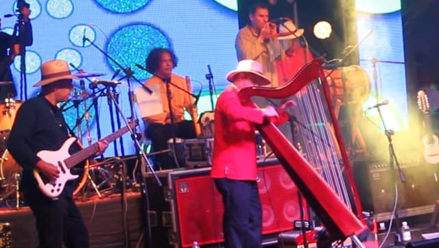 PAJARO CAMPANA Dany Harp & Arpa Cafe Live Concert