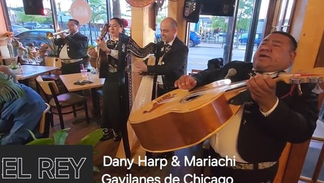 EL REY Dany Harp & Mariachi Gavilanes de Chicago
